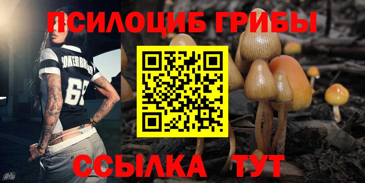 Мценск  Псилоцибиновые грибы Psilocybine cubensis  Вход с VPN 
